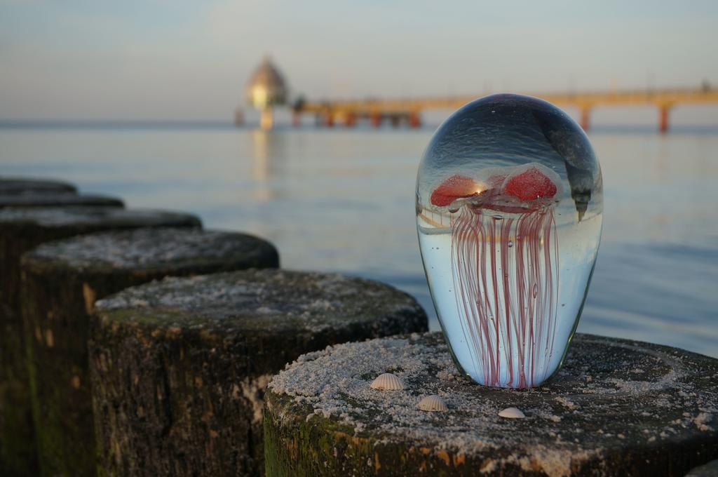 Hotel Garni Inselparadies Zingst Exterior foto